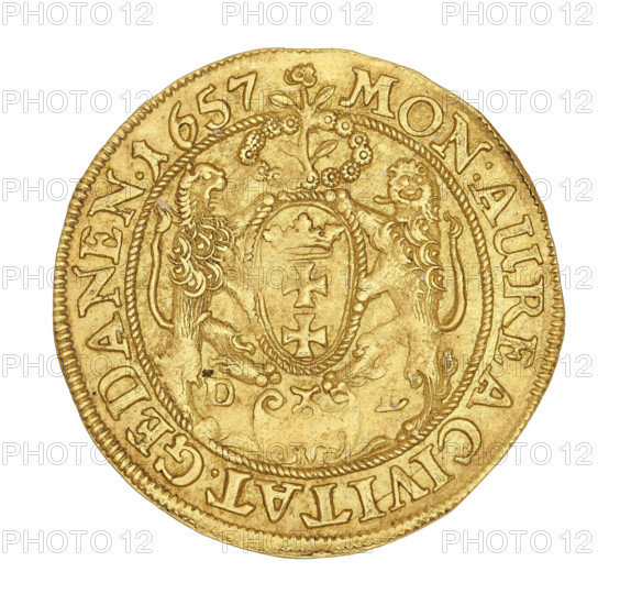 Gdansk ducat, Lesse, Daniel (1656–1685); John II Casimir Vasa (King of Poland, 1648–1668). Obverse: bust of the king with a crown, right profile, wearing the Order of the Golden Fleece, within a rope rim: IOAN.CAS.DGREX POL.& SUEC.MD. Reverse: coat of arms held by two lions, top wreath surrounding a flower, bottom cartouche dividing letters DL; in a corded rim: MON:AUREA CIVITAT.GEDANEN.1657. 1657. Poland, Gdansk. Coin, diameter 25 mm, weight 3.49 g., A single circular gold-colored coin fills most of the image, showing a textured metallic surface with raised decorative relief and an outer beaded edge; the design includes a central oval shield held by a pair of heraldic animals with flowing manes, ornate floral elements near the top, and a ring of raised inscriptions around the perimeter; visible colors are gold and subtle variations in yellow and darker gold tones against a plain white background.