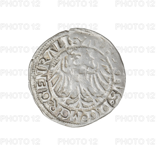 Teutonic groschen, Albrecht Hohenzollern (prince in Prussia; Grand Master; 1490–1568). Obverse: Brandenburg eagle with the Hohenzollern shield on his chest; on the rim between the pearly borders an inscription. Reverse: monastic shield of the Grand Master with a cross whose elongated, widening arms divide the rim legend and reach the outer rim; in the rim between the pearl borders there is an inscription. 1515. State of the Teutonic Order (1226–1525), Königsberg. Coin; diameter 21 mm; weight 1.58 g; axis 330°.