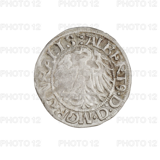 Teutonic groschen, Albrecht Hohenzollern (prince in Prussia; Grand Master; 1490–1568). Obverse: Brandenburg eagle with the Hohenzollern shield on its chest; on the rim, between the pearly borders, an inscription. Reverse: monastic shield of the Grand Master with a cross whose elongated, widening arms divide the rim legend and reach the outer rim; on the rim between the pearl borders there is an inscription. 1519. State of the Teutonic Order (1226–1525), Königsberg. Coin; diameter 21.1 mm; weight 1.65 g; axis 315°.