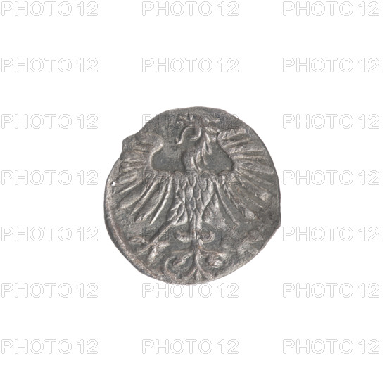 Lithuanian denarius, Sigismund II Augustus (King of Poland; 1544–1572); emblems of the Jagiellon dynasty; Polish coins; eagle (emblem); pursuer (emblem; Lithuania). Obverse: in the rim, Polish eagle. Reverse: in the rim, Lithuanian pursuer; below the year 1556. Dated 1556. Grand Duchy of Lithuania, Vilnius, Poland. Coin; diameter 11.5–12.0 mm; weight 0.33 g.