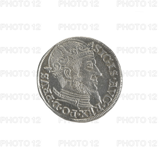 Gdansk trojak, Sigismund II Augustus (King of Poland; 1544–1572), Jagiellonians (dynasty). Obverse: crowned male bust in profile turned right; rim inscription SIGIS.AVG.REX.PO.D.PRVS. Reverse: below the value number .III. inscription GROSS.AR/TRIP.CIVI/GEDAN, N below the year and mint mark; lilies and shield with the coat of arms of Gdansk separating .15 - 57./. - . Date: 1557. Poland, Gdansk. Coin (trojak), diameter c.20.8–21.0 mm, weight 2.64 g. Iconography: royal bust, inscriptions; subject: city coat of arms, Polish coin.