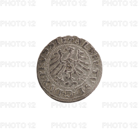 szelag, Nimptsch (Nimsch), Wolf, R3 (rarity), eagles, Hohenzollern (coat of arms), rosettes, Albrecht Hohenzollern (Prince of Prussia; 1490–1568). Obv.: Prussian eagle, on its chest the crowned letter S. On the rim, between the pearl borders, an inscription beginning with a trefoil; between the words, one dot. Legend: ALBERTVS DG DVX PRVSSIE. Rev.: Letter A, below which the heraldic shield of the Hohenzollerns; on both sides of the letter, one rosette. On the rim between the pearl borders an inscription: SOLIDVS PRVSSIE 1556 (rosette at the beginning of the legend and between the words). 1556, Königsberg, Ducal Prussia (1525–1701). Coin; diameter 19.7 mm; weight 0.99 g; axis 60°.