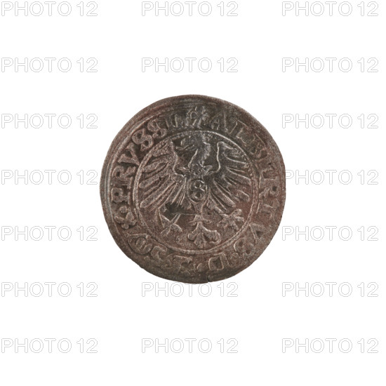 szelag, Nimptsch (Nimsch), Hans, R (rarity), eagles, rosettes, Hohenzollern (coat of arms), Albrecht Hohenzollern (Prince of Prussia; 1490–1568). Obverse: Prussian eagle, on its chest the crowned letter S. In the rim between the pearl borders an inscription beginning with a trefoil: ALBERTVS*D*, X*PRVSSIE. Reverse: Letter A, under which the heraldic shield of the Hohenzollerns. On both sides of the letter there is one rosette. On the rim between the pearl borders there is an inscription: DVS PRVSSIE I55O (at the beginning of the legend and between the words — rosette). Legends are distorted in places. 1550, Königsberg, Ducal Prussia (1525–1701). Coin: diameter 20.1 mm, weight 1.11 g, axis 90°.