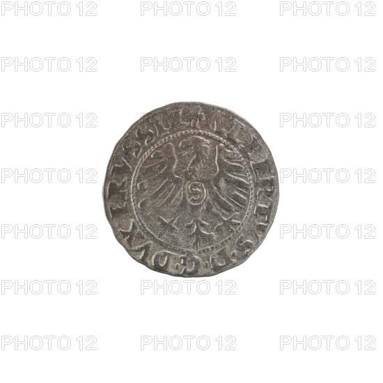 szelag, Goebell, Hans, publisher, Nimptsch (Nimsch), Hans, R (rarity), eagles, Hohenzollern (coat of arms), rosettes, Albrecht Hohenzollern (Prince of Prussia; 1490–1568). Obv.: Prussian eagle, on its chest the crowned letter S. On the rim, between the pearl borders, an inscription beginning with a trefoil. Between the words, one dot ALBERTVS DG DVX PRVSSIE. Reverse: The letter A, below which the heraldic shield of the Hohenzollerns. On both sides of the letter, one rosette. On the rim between the pearl borders the inscription: SOLIDVS PRVSSIE 1553 (rosettes between words). 1553, Königsberg, Ducal Prussia (1525–1701). Coin; diameter 19.0 mm; weight 1.08 g; axis 90°.