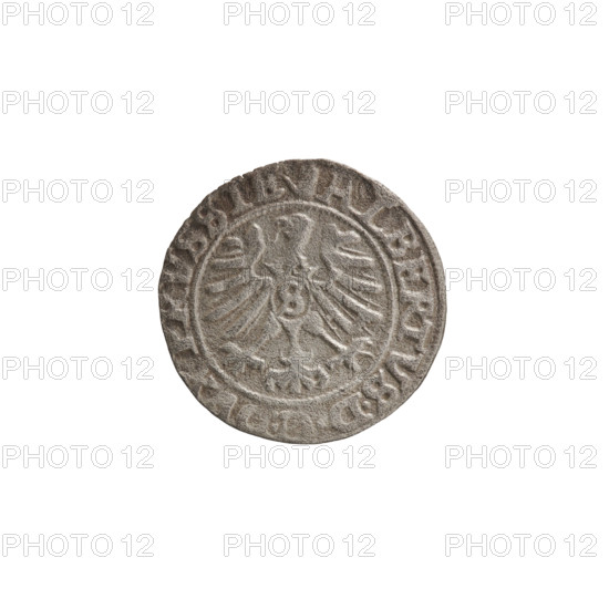 szelag, Nimptsch (Nimsch), Wolf, R (rarity), eagles, rosettes, Hohenzollern (coat of arms), Albrecht Hohenzollern (Prince of Prussia; 1490–1568). Obv.: Prussian eagle, on its chest the crowned letter S; on the rim, between the pearl borders, an inscription beginning with a tower — the mint master's mark; between the words one dot; ALBERTVS DG DVX PRVSSIE. Rev.: the letter A, below which the heraldic shield of the Hohenzollerns; on both sides of the letter one rosette; in the rim between the pearl borders an inscription beginning with a rosette, one rosette between the words: SOLIDVS PRVSSIE I558. 1558, Königsberg, Ducal Prussia (1525–1701). Coin; diameter 19.3 mm; weight 0.96 g; axis 170°.