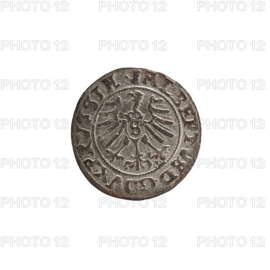 szelag, Nimptsch (Nimsch), Wolf, R (rarity), eagles, rosettes, Hohenzollern (coat of arms), Albrecht Hohenzollern (Prince of Prussia; 1490-1568), Obv. Prussian eagle, on its chest the crowned letter S. On the rim, between the pearl borders, an inscription beginning with a tower - the mint master's mark. Between the words one dot each ALBERTVS DG DVX PRVSSIE Rev. The letter A, below which the Hohenzollern coat of arms. On both sides of the letter, one rosette. In the rim between the pearl borders an inscription beginning with a rosette. Between the words one rosette each SOLIDVS PRVSSIE 1559, 1559, Königsberg, Ducal Prussia (1525-1701), coin, diameter 20.0 mm, weight 1.05 g, axis 315 degrees.