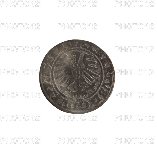 szelag, Nimptsch (Nimsch), Wolf, R (rarity), eagles, Hohenzollern (coat of arms), rosettes, Albrecht Hohenzollern (Prince of Prussia; 1490–1568). Obv.: Prussian eagle, on its chest the crowned letter S. On the rim, between the pearl borders, an inscription beginning with a tower — the mint master's mark; between the words one dot each: LBERTVS DG DVX PRVSSIE. Rev.: The letter A, below which the heraldic shield of the Hohenzollerns; on both sides of the letter one rosette. In the rim between the pearl borders an inscription beginning with a rosette; between the words one rosette each: SOLI VSS 1559 1559. Königsberg, Ducal Prussia (1525–1701). Coin: diameter 19.8 mm, weight 0.82 g, axis 225°.