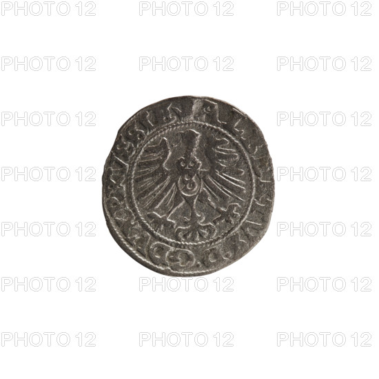 szelag, Nimptsch (Nimsch), Wolf, R1 (rarity), eagles, Hohenzollern (coat of arms), rosettes, Albrecht Hohenzollern (Prince of Prussia; 1490–1568). Obv.: Prussian eagle, on its chest the crowned letter S. On the rim, between the pearl borders, an inscription beginning with a tower - the mint master's mark; between the words one dot. ALBERTVS DG DVX PRVSSIE. Rev.: the letter A, below which the heraldic shield of the Hohenzollerns; on both sides of the letter, one rosette. In the rim, between the pearl borders, an inscription beginning with a rosette; one rosette between the words. SO, DVS PRVSSIE. 1557. Königsberg, Ducal Prussia (1525–1701). Coin: diameter 19.8 mm, weight 1.04 g, axis 190°.