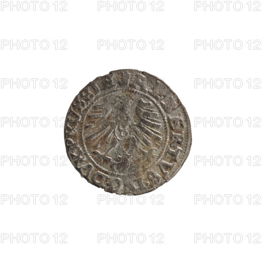 szelag, Nimptsch (Nimsch), Wolf, R1 (rarity), eagles, rosettes, Hohenzollern (coat of arms), Albrecht Hohenzollern (Prince of Prussia; 1490–1568). Obv.: Prussian eagle, on its chest the crowned letter S. On the rim, between the pearl borders, an inscription beginning with a tower — the mint master's mark. Between the words one dot: ALBERTVS DG DVX PRVSSIE. Rev.: The letter A, below which the heraldic shield of the Hohenzollerns. On both sides of the letter, one rosette. In the rim between the pearl borders an inscription beginning with a rosette. One rosette between the words: SOLIDVS PRVSSIE 1557. 1557, Königsberg, Ducal Prussia (1525–1701). Coin; diameter 19.6 mm; weight 0.92 g; axis 315°.