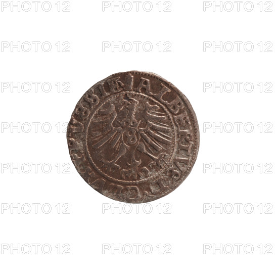 szelag, Nimptsch (Nimsch), Wolf, R (rarity), eagles, rosettes, Hohenzollern (coat of arms), Albrecht Hohenzollern (Prince of Prussia; 1490–1568). Obv.: Prussian eagle, on its chest the crowned letter S. On the rim, between the pearl borders, an inscription beginning with a tower — the mint master's mark; between the words one dot: ALBERTVS DG DVX PRVSSIE. Rev.: the letter A, below which the heraldic shield of the Hohenzollerns; on both sides of the letter one rosette. In the rim between the pearl borders an inscription beginning with a rosette; one rosette between the words: SOLIDVS PRVSSIE 1558. 1558, Königsberg, Ducal Prussia (1525–1701). Coin: diameter 19.5 mm, weight 1.07 g, axis 315°.