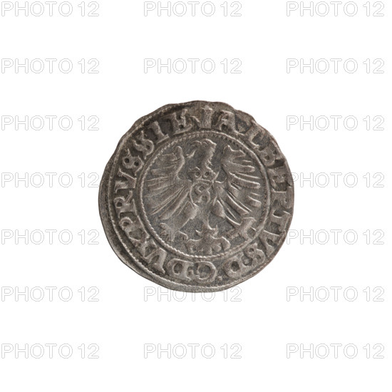 szelag, Nimptsch (Nimsch), Wolf, R (rarity), eagles, rosettes, Hohenzollern (coat of arms), Albrecht Hohenzollern (Prince of Prussia; 1490-1568), Obv. Prussian eagle, on its chest the crowned letter S. On the rim, between the pearl borders, an inscription beginning with a tower - the mint master's mark. Between the words one dot ALBERTVS DG DVX PRVSSIE Rev. The letter A, below which the heraldic shield of the Hohenzollerns. On both sides of the letter, one rosette. In the rim, between the pearl borders, an inscription beginning with a rosette. One rosette between the words. SOLIDVS PRVSSIE I558, 1558, Königsberg, Ducal Prussia (1525-1701), coin, diameter 20.4 mm, weight 1.19 g, axis 330 degrees.