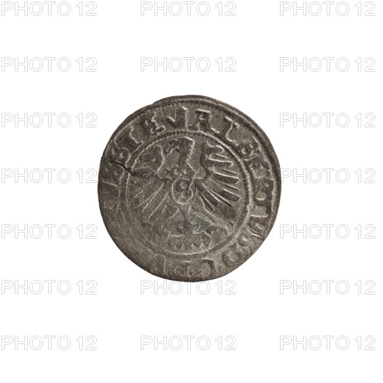 szelag, Nimptsch (Nimsch), Wolf, R (rarity), eagles, Hohenzollern (coat of arms), rosettes, Albrecht Hohenzollern (Prince of Prussia; 1490-1568). Obverse: Prussian eagle, on its chest the crowned letter S. On the rim, between the pearl borders, an inscription beginning with a tower — the mint master's mark. Between the words one dot each ALBERTVS, DG DV, SSIE Rw. The letter A, below which the heraldic shield of the Hohenzollerns. On both sides of the letters, one rosette. Reverse: in the rim between the pearl borders an inscription beginning with a rosette. Between the words one rosette each S, S PRVSSIE 1559. Date: 1559. Mint: Königsberg, Ducal Prussia (1525–1701). Object type: coin. Diameter: 19.9 mm. Weight: 0.88 g. Axis: 45 degrees.
