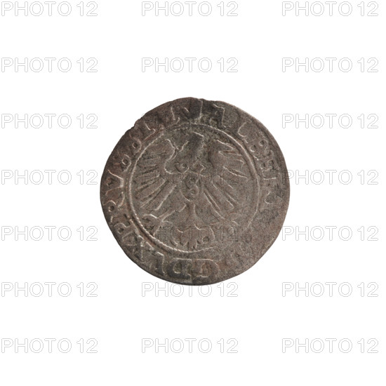 szelag, Lauterbach, Casper, publisher, Lentz, Gerhard, R1 (rarity), eagles, rosettes, Hohenzollern (coat of arms), Albrecht Hohenzollern (Prince of Prussia; 1490-1568). Obv.: Prussian eagle, on its chest the crowned letter S. On the rim, between the pearl borders, an inscription beginning with a tower - the mint master's mark. Between the words, one dot each: ALBER, DG DVX PRVSSIE. Rev.: The letter A, beneath which the Hohenzollern family's coat of arms. On both sides of the letters, one rosette. In the rim, between the pearl borders, an inscription beginning with a rosette. Between the words, one rosette: SOLIDVS PRVSS. 1560. Königsberg, Ducal Prussia (1525–1701). Coin: diameter 20.0 mm, weight 1.03 g, axis 315°.