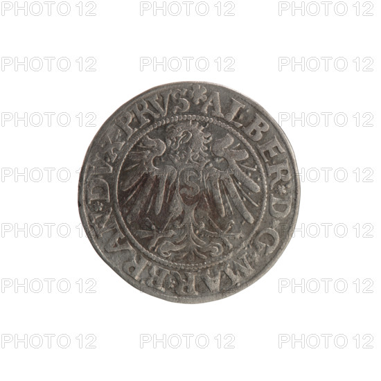 Albrecht Hohenzollern (Prince of Prussia; 1490–1568) — coin, 1534. Obverse: Prussian eagle; on its breast a crowned letter S; along rim between pearly borders an inscription beginning with a rosette ALBER*D, G*MAR*BRAN*DVX*PRVS. Reverse: male bust in armor, profile to right, short hair, beard with sideburns; along rim between pearly borders an inscription beginning with the Hohenzollern coat of arms *IVSTVS*EX*FIDE*VIVIT, I534. Hoard find from the village of Wsola (numismatic). Diameter 23.0 mm; weight 1.80 g; axis 150°. Publishers: Grosz; Straub (Strawb), Heinrich; Wille, Albrecht (fl. 1520–?); Decjusz, Jost Ludwik (fl. 1528–1535). Iconography: eagles, Hohenzollern coat of arms, rosettes, male busts in armour. Place: Königsberg, Ducal Prussia (1525–1701).