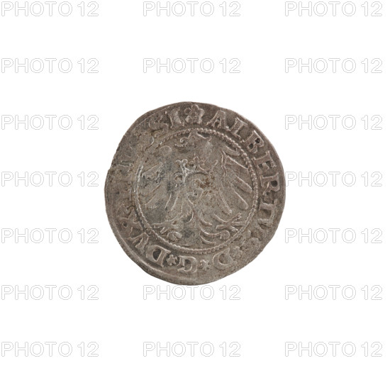 szelag, Decjusz, Jost Ludwik (fl. 1528-1535), Wille, Albrecht (fl. 1520-?), publisher, Straub (Strawb), Heinrich, publisher, eagles, rosettes, Hohenzollern (coat of arms), Albrecht Hohenzollern (prince of Prussia; 1490-1568). Obverse: Prussian eagle, on its chest the crowned letter S; on the rim between pearly borders an inscription beginning with a rosette: ALBERTVS*D*G*DVX* with letter A and the Hohenzollern coat of arms beneath, rosettes on both sides of the letter. Reverse rim inscription between pearly borders: S0*S PRVSSIE I53I (rosettes between words). Date: 1531. Place: Ducal Prussia (1525–1701), Königsberg. Object: coin (szelag). Diameter: 19.2 mm; weight: 1.05 g; axis: 0°.