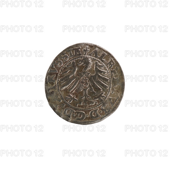 szelag, Nimptsch (Nimsch), Hans, R (rarity), eagles, Hohenzollern (coat of arms), rosettes, Albrecht Hohenzollern (Prince of Prussia; 1490–1568). Obv.: Prussian eagle, on its chest the crowned letter S. In the rim between the pearl borders an inscription beginning with a trefoil: ALB, VS*D*G*DV, PRVSSIE. Rev.: Letter A, under which the heraldic shield of the Hohenzollerns; on both sides of the letter one rosette. On the rim between the pearl borders the inscription: SOLIDV, SSIE I55O (rosettes between words). 1550. Ducal Prussia (1525–1701), Königsberg. Coin: diameter 19.5 mm, weight 1.09 g, axis 315°.