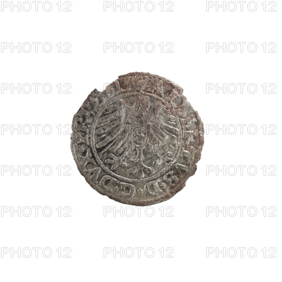 szelag, Nimptsch (Nimsch), Hans, R (rarity), eagles, rosettes, Hohenzollern (coat of arms), Albrecht Hohenzollern (Prince of Prussia; 1490–1568). Obv.: Prussian eagle, on its chest the crowned letter S. In the rim between the pearl borders an inscription beginning with a trefoil: ALBERTVS*D*G*DVX*PR. Rev.: Letter A, under which the heraldic shield of the Hohenzollerns; on both sides of the letter one rosette. In the rim between the pearl borders an inscription: SOLIDVS PRV I55O (with rosettes at the beginning and between words). 1550. Ducal Prussia (1525–1701), Königsberg. Coin: diameter 19.4 mm, weight 0.83 g, axis 135°.