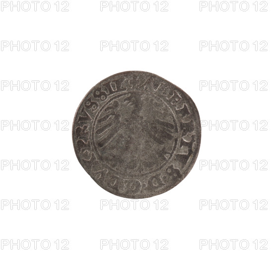szelag, Nimptsch (Nimsch), Hans, R (rarity), eagles, rosettes, Hohenzollern (coat of arms), Albrecht Hohenzollern (Prince of Prussia; 1490–1568). Obverse: Prussian eagle; in the rim between pearl borders an inscription beginning with a trefoil: ALBERTVS*D*G*DVX*PRVSSIE. Reverse: letter A below which the Hohenzollern coat of arms; one rosette on each side of the letter; on the rim between the pearl borders the inscription: SOLIDVS PRVSSIE I55O (rosette at the beginning of the legend and between the words). Date: 1550. Place/authority: Ducal Prussia (1525–1701), Königsberg. Object: coin (szelag), diameter 19.3 mm, weight 0.84 g, axis 225°.