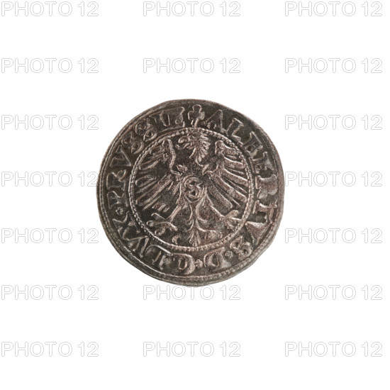 szelag, Nimptsch (Nimsch), Hans, R (rarity), eagles, rosettes, Hohenzollern (coat of arms), Albrecht Hohenzollern (Prince of Prussia; 1490–1568). Obv.: Prussian eagle, on its chest the crowned letter S. In the rim between the pearl borders an inscription beginning with a trefoil: ALBERTVS*D*G*DVX*PRVSSIE. Rev.: Letter A, under which the heraldic shield of the Hohenzollerns. On both sides of the letter there is one rosette. On the rim between the pearl borders the inscription: SOLIDVS PRVSSIE I55O (rosettes at the beginning of the legend and between words). 1550, Ducal Prussia (1525–1701), Königsberg. Coin: diameter 19.9 mm, weight 1.24 g, axis 225°.