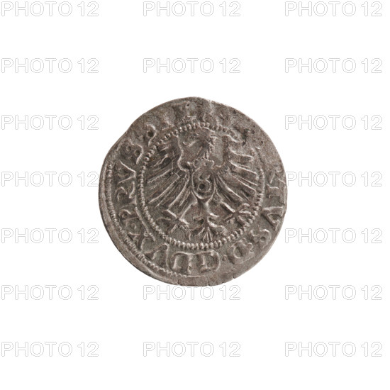 szelag, Nimptsch (Nimsch), Wolf, R1 (rarity), eagles, rosettes, Hohenzollern (coat of arms), Albrecht Hohenzollern (Prince of Prussia; 1490–1568). Obv.: Prussian eagle, on its chest the crowned letter S; on the rim between pearl borders an inscription beginning with a trefoil and dots; inscription RTVS DG DVX PRVSSIE. Rev.: the letter A above the heraldic shield of the Hohenzollerns, with a rosette on each side of the letter; on the rim between pearl borders an inscription beginning with a rosette and one rosette between words: SOLIDVS PRVSSIE I557. 1557. Ducal Prussia (1525–1701), Königsberg. Coin: diameter 19.9 mm, weight 1.11 g, axis 100°.