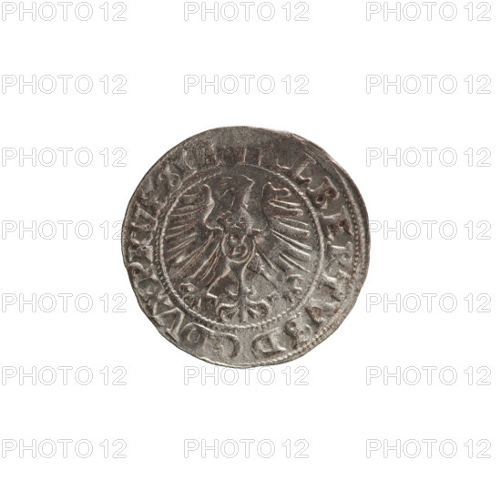 szelag, Nimptsch (Nimsch), Wolf, R1 (rarity); Albrecht Hohenzollern (Prince of Prussia; 1490–1568). Obv.: Prussian eagle, on its chest the crowned letter S. On the rim, between the pearl borders, an inscription beginning with a tower — the mint master's mark; between the words one dot, LBERTVS, DG DVX PRVSSIE. Rev.: the letter A, under which the heraldic shield of the Hohenzollerns; on both sides of the letter, one rosette. In the rim, between the pearl borders, an inscription beginning with a rosette; one rosette between the words, SOLIDVS PRVSSIE 1557. 1557; Ducal Prussia (1525–1701), Königsberg. Coin: diameter 20.2 mm, weight 1.24 g, axis 45°.