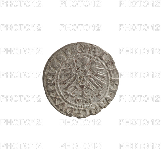 szelag, Nimptsch (Nimsch), Wolf, R1 (rarity); eagles, rosettes, Hohenzollern (coat of arms); Albrecht Hohenzollern (Prince of Prussia; 1490–1568). Obv.: Prussian eagle, on its chest the crowned letter S. On the rim, between the pearl borders, an inscription beginning with a tower — the mint master's mark; between the words one dot. ALBERTVS DG DVX PRVSSIE. Rev.: the letter A, below which the heraldic shield of the Hohenzollerns; on both sides of the letter, one rosette. In the rim, between the pearl borders, an inscription beginning with a rosette; one rosette between the words. SOLIDVS PRVSSIE. 1557. Ducal Prussia (1525–1701), Königsberg. Coin: diameter 19.2 mm, weight 0.98 g, axis 135°.