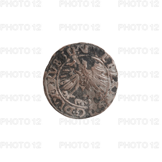 szelag, Nimptsch (Nimsch), Wolf, R1 (rarity), eagles, rosettes, Hohenzollern (coat of arms), Albrecht Hohenzollern (Prince of Prussia; 1490-1568). Obv.: Prussian eagle, on its chest the crowned letter S. On the rim, between the pearl borders, an inscription beginning with a tower — the mint master's mark; between the words one dot. Reverse: AL, RT, DG DVX PRVSSIE Rw. The letter A, below which the heraldic shield of the Hohenzollerns; on both sides of the letter, one rosette. In the rim, between the pearl borders, an inscription beginning with a rosette; one rosette between the words: SOLIDVS PRVSSIE 1557. Date: 1557. Place: Ducal Prussia (1525–1701), Königsberg. Object: coin (szelag), diameter 19.4 mm, weight 1.02 g, axis 45°.