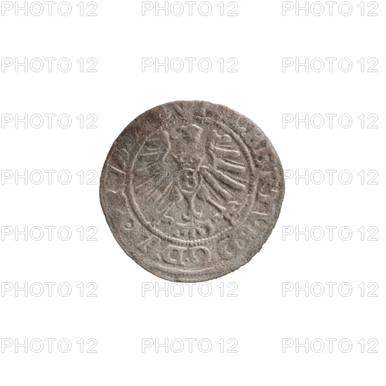 szelag, Nimptsch (Nimsch), Wolf, R1 (rarity), eagles, rosettes, Hohenzollern (coat of arms), Albrecht Hohenzollern (Prince of Prussia; 1490-1568). Obv.: Prussian eagle, on its chest the crowned letter S. On the rim, between the pearl borders, an inscription beginning with a tower - the mint master's mark. Between the words one dot ALBERTVS DG DVX PRVS. Rev.: The letter A, below which the heraldic shield of the Hohenzollerns. On both sides of the letter, one rosette. In the rim between the pearl borders an inscription beginning with a rosette. One rosette between the words. SOLIDVS PRVS, E 1557; Ducal Prussia (1525–1701), Königsberg; coin: diameter 19.6 mm, weight 1.08 g, axis 180°