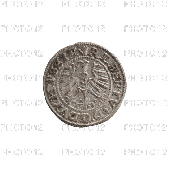 szelag, Nimptsch (Nimsch), Wolf, R1 (rarity), eagles, rosettes, Hohenzollern (coat of arms), Albrecht Hohenzollern (Prince of Prussia; 1490–1568). Obv.: Prussian eagle, on its chest the crowned letter S. On the rim, between the pearl borders, an inscription beginning with a tower — the mint master's mark. Between the words one dot: ALBERTVS DG DVX PRVSSIE. Rev.: The letter A, below which the heraldic shield of the Hohenzollerns. On both sides of the letter, one rosette. On the rim, between the pearl borders, an inscription beginning with a rosette. One rosette between the words: SOLIDVS PRVSSIE 1557. 1557. Ducal Prussia (1525–1701), Königsberg; coin. Diameter 20.5 mm, weight 1.19 g, axis 170°.