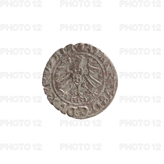 szelag, Nimptsch (Nimsch), Wolf, R1 (rarity), eagles, rosettes, Hohenzollern (coat of arms), Albrecht Hohenzollern (Prince of Prussia; 1490–1568). Obv.: Prussian eagle, on its chest the crowned letter S; on the rim between the pearl borders an inscription beginning with a tower — the mint master's mark; between the words one dot. Inscription: ALBERTVS DG DVX PRV. Rev.: the letter A, below which the heraldic shield of the Hohenzollerns; on both sides of the letter one rosette; on the rim between the pearl borders an inscription beginning with a rosette; one rosette between the words. SOLIDVS PRVSSIE 1557. 1557. Ducal Prussia (1525–1701), Königsberg. Coin: diameter 18.9 mm; weight 0.79 g; axis 220°.