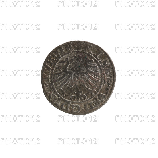 szelag, Nimptsch (Nimsch), Wolf, R (rarity), eagles, rosettes, Hohenzollern (coat of arms), Albrecht Hohenzollern (Prince of Prussia; 1490–1568). Obv.: Prussian eagle, on its chest the crowned letter S. On the rim, between the pearl borders, an inscription beginning with a tower — the mint master's mark; between the words one dot: ALBERTVS DG DVX PRVSSIE. Rev.: the letter A, below which the heraldic shield of the Hohenzollerns; on both sides of the letter, one rosette. On the rim, between the pearl borders, an inscription beginning with a rosette, one rosette between the words: SOLIDVS PRVSSIE I558. 1558. Ducal Prussia (1525–1701), Königsberg. Coin: diameter 19.5 mm, weight 1.05 g, axis 315°.
