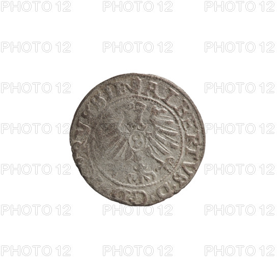 szelag, Nimptsch (Nimsch), Wolf, R (rarity), eagles, rosettes, Hohenzollern (coat of arms), Albrecht Hohenzollern (Prince of Prussia; 1490–1568). Obv.: Prussian eagle, on its chest the crowned letter S. On the rim, between the pearl borders, an inscription beginning with a tower — the mint master's mark; between the words one dot. Legend: ALBERTVS DGD, RVSSIE. Rev.: The letter A, below which the heraldic shield of the Hohenzollerns; on both sides of the letter one rosette. In the rim between the pearl borders an inscription beginning with a rosette; one rosette between the words. Legend: SOLIDV, RVSSIE 1558. Date: 1558. Duchy: Ducal Prussia (1525–1701), Königsberg. Coin: diameter 19.8 mm, weight 1.00 g, axis 315°.