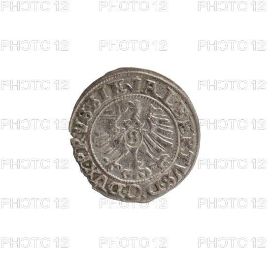 szelag, Nimptsch (Nimsch), Wolf, R (rarity), eagles, rosettes, Hohenzollern (coat of arms), Albrecht Hohenzollern (Prince of Prussia; 1490-1568). Obv. Prussian eagle, on its chest the crowned letter S. On the rim, between the pearl borders, an inscription beginning with a tower - the mint master's mark. Between the words one dot ALBERTVS DG DVX PRVSSIE. Rev. The letter A, below which the heraldic shield of the Hohenzollerns. On both sides of the letter, one rosette. In the rim, between the pearl borders, an inscription beginning with a rosette. One rosette between the words. SOLIDVS PRVSSIE I558, 1558. Ducal Prussia (1525-1701), Königsberg, coin; diameter 20.6 mm, weight 1.10 g, axis 250 degrees.