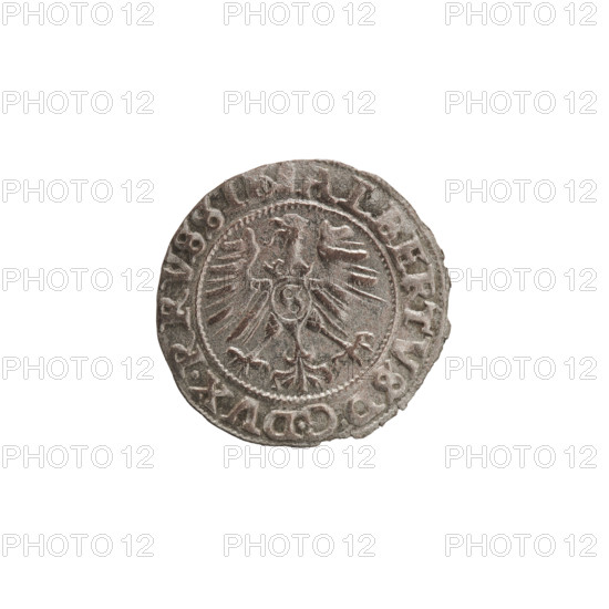 szelag, Nimptsch (Nimsch), Wolf, R (rarity), eagles, Hohenzollern (coat of arms), rosettes, Albrecht Hohenzollern (Prince of Prussia; 1490-1568). Obv. Prussian eagle, on its chest the crowned letter S. On the rim, between the pearl borders, an inscription beginning with a tower - the mint master's mark. Between the words one dot ALBERTVS DG DVX RRVSSIE. Rev. The letter A, below which the heraldic shield of the Hohenzollerns. On both sides of the letter, one rosette. In the rim, between the pearl borders, an inscription beginning with a rosette. One rosette between the words. SOLIDVS PRVSSIE. 1558. Ducal Prussia (1525–1701), Königsberg. Coin: diameter 19.9 mm, weight 1.10 g, axis 50°.