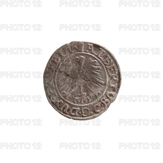 szelag, Nimptsch (Nimsch), Wolf, R (rarity), eagles, rosettes, Hohenzollern (coat of arms), Albrecht Hohenzollern (Prince of Prussia; 1490–1568). Obv.: Prussian eagle, on its chest the crowned letter S. On the rim, between the pearl borders, an inscription beginning with a tower — the mint master's mark; between the words one dot each: ALBERTVS DG DVX PRVSSIE. Rev.: the letter A, below which the Hohenzollern coat of arms. On both sides of the letter, one rosette. In the rim between the pearl borders an inscription beginning with a rosette; between the words one rosette each: SOLIDVS PRVSSIE 1559. Ducal Prussia (1525–1701), Königsberg. Coin: diameter 20.2 mm, weight 0.88 g, axis 135°.