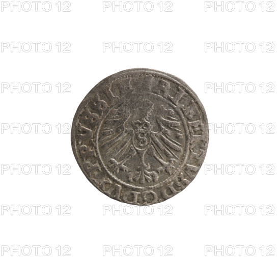 szelag, Nimptsch (Nimsch), Wolf, R (rarity). Hohenzollern (coat of arms), eagles, rosettes. Albrecht Hohenzollern (Prince of Prussia; 1490–1568). Obv. Prussian eagle, on its chest the crowned letter S. On the rim between the pearl borders an inscription; between the words one dot each: ALBERTVS DG DVX, PRVSSIE. The letter A, under which the heraldic shield of the Hohenzollerns; on both sides of the letter one rosette. In the rim, between the pearl borders, an inscription beginning with a rosette; between the words one rosette each: LIDVS PRVSSIE 1559. Ducal Prussia (1525–1701), Königsberg. Coin: diameter 20.1 mm, weight 1.13 g, axis 0 degrees.