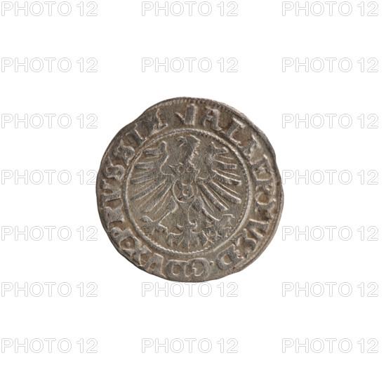 szelag, Nimptsch (Nimsch), Wolf, R (rarity), eagles, rosettes, Hohenzollern (coat of arms), Albrecht Hohenzollern (Prince of Prussia; 1490–1568). Obv.: Prussian eagle, on its chest the crowned letter S. On the rim, between the pearl borders, an inscription beginning with a tower — the mint master's mark; between the words one dot each: ALBERTVS DG DVX PRVSSIE. Rev.: the letter A, below which the Hohenzollern coat of arms; on both sides of the letter one rosette. In the rim between the pearl borders an inscription beginning with a rosette; between the words one rosette each: SOLIDVS PRVSSIE 1559. 1559. Ducal Prussia (1525–1701), Königsberg. Coin: diameter 19.9 mm, weight 1.02 g, axis 290°.