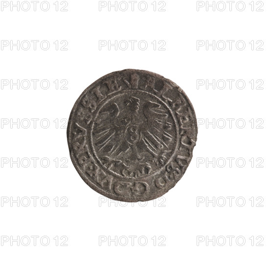 szelag; Lentz, Gerhard; Lauterbach, Casper, publisher; R1 (rarity); eagles; Hohenzollern (coat of arms); rosettes; Albrecht Hohenzollern (Prince of Prussia; 1490–1568). Obverse: Prussian eagle, on its chest the crowned letter S. On the rim, between pearl borders, an inscription beginning with a tower — the mint master's mark; between the words, one dot each: ALBERTVS D G DVX PRVSSIE. Reverse: the letter A with the heraldic shield of the Hohenzollern family beneath; one rosette on both sides of the letter. On the rim, between the pearl borders, an inscription beginning with a rosette; one rosette between the words: SOLIDVS PRVSSIE 156O (1560). Ducal Prussia (1525–1701), Königsberg. Coin: diameter 20.4 mm; weight 1.01 g; axis 260°.