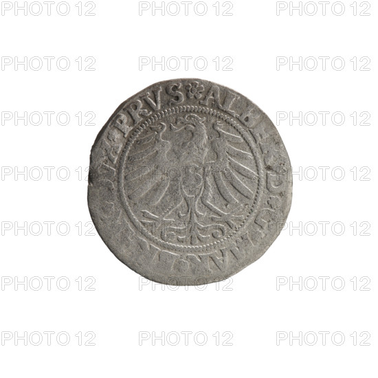 grosz, Straub (Strawb), Heinrich, publisher, Wille, Albrecht (fl. 1520-?), publisher, Decjusz, Jost Ludwik (fl. 1528-1535), R1 (rarity), Albrecht Hohenzollern (Prince of Prussia; 1490-1568) - iconography, eagles, Hohenzollern (coat of arms), male busts in armour, Aw. Prussian Eagle, on its breast a crowned letter S. Along the rim, between the pearly borders, an inscription beginning with a rosette ALBER*D*G*MAR*BRAN*DVX*PRVS Rw. Male bust in armor, profile turned to the right, short hair, beard with sideburns. Along the rim, between the pearly borders, an inscription beginning with the Hohenzollern coat of arms *IVSTVS*E, FIDE*VIVIT*I53I*, 1531, Ducal Prussia (1525-1701), Königsberg, coin, coin: diameter 22.8 mm, weight 1.88 g, axis 135 degrees.