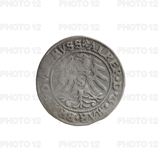 grosz; Wille, Albrecht (fl. 1520-?), publisher; Straub (Strawb), Heinrich, publisher; Decjusz, Jost Ludwik (fl. 1528-1535); subject: Albrecht Hohenzollern (Prince of Prussia; 1490–1568) — iconography includes Hohenzollern coat of arms and Prussian eagle. Obverse: male bust in armour, profile right, short hair, beard with sideburns; crowned Prussian eagle on breast with crowned letter S. Inscriptions along rim between pearly borders: beginning with a rosette ALBER*D*G*MAR*, DV, RVSS and Hohenzollern coat of arms shield *IVSTVS*E, ID, VIVIT*I53I*. Date: 1531. Place/function: Ducal Prussia (1525–1701), Königsberg. Object: coin (grosz); diameter 22.8 mm, weight 1.98 g, axis 315°.