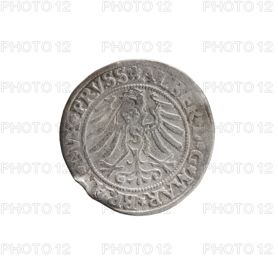 grosz, Straub (Strawb), Heinrich, publisher, Wille, Albrecht (fl. 1520-?), publisher, Decjusz, Jost Ludwik (fl. 1528-1535), eagles, Albrecht Hohenzollern (Prince of Prussia; 1490-1568) - iconography, Hohenzollern (coat of arms), male busts in armour, Aw. Prussian Eagle, on its breast a crowned letter S. Along the rim, between the pearly borders, an inscription beginning with a rosette ALBER*D*G*MAR*BRAN*DVX*PRVSS. Rw. Male bust in armor, profile turned to the right, short hair, beard with sideburns. Along the rim, between the pearly borders, an inscription beginning with the Hohenzollern coat of arms shield *IVSTVS*EX*FIDE*VIVIT*I53Z*. 1532, Ducal Prussia (1525-1701), Königsberg, coin, diameter 23.0 mm, weight 1.89 g, axis 270 degrees