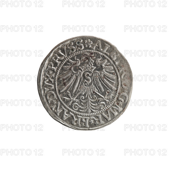 grosz; Straub (Strawb), Heinrich, publisher; Wille, Albrecht (fl. 1520-?), publisher; Decjusz, Jost Ludwik (fl. 1528-1535); Albrecht Hohenzollern (Prince of Prussia; 1490–1568) — iconography: eagles, Hohenzollern coat of arms, male busts in armour, Prussian eagle with on its breast a crowned letter S. Obverse: male bust in armor, profile right, short hair, beard with sideburns; along the rim between pearly borders an inscription beginning with a rosette ALB *G*MAR*BRAN*DVX*PRVSS. Reverse: Hohenzollern coat of arms shield and inscription beginning *IVSTVS*, DE*VIVIT*I533*; dated 1533. Ducal Prussia (1525–1701), Königsberg. Coin: diameter 23.0 mm, weight 1.98 g, axis 315°.
