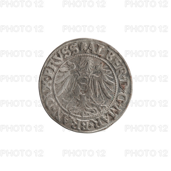 Straub (Strawb), Heinrich, publisher; Decjusz, Jost Ludwik (fl. 1528–1535); Wille, Albrecht (fl. 1520–? ), publisher. Albrecht Hohenzollern (Prince of Prussia; 1490–1568). Iconography: eagles; male busts in armour; Hohenzollern coat of arms; Prussian eagle with a crowned letter S on its breast. Obverse: male bust in armor, profile turned right, short hair, beard with sideburns; along the rim between pearly borders an inscription beginning with a rosette ALBER*D*G*MAR*BRAN*DVX*PRVSS. Reverse: Hohenzollern coat of arms shield; inscription *IVSTVS*EX*FIDE*VIVIT*I534*. Date: 1534. Place: Ducal Prussia (1525–1701), Königsberg. Object: coin. Measurements: diameter 23.0 mm, weight 1.96 g, axis 0°.