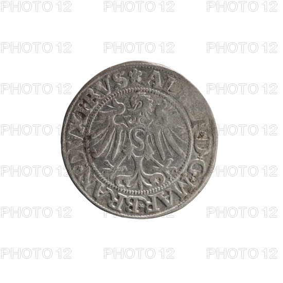 grosz, Straub (Strawb), Heinrich, publisher; Wille, Albrecht (fl. 1520-?), publisher; Decjusz, Jost Ludwik (fl. 1528-1535); Albrecht Hohenzollern (Prince of Prussia; 1490-1568) — iconography: eagles, Hohenzollern (coat of arms), male busts in armour. Obverse: Prussian Eagle with on its breast a crowned letter S; along the rim, between the pearly borders, an inscription beginning with a rosette AL, R*D*G*MAR*BRAN*DVX*PRVS. Reverse: male bust in armor, profile turned to the right, short hair, beard with sideburns; along the rim, between the pearly borders, an inscription beginning with the Hohenzollern coat of arms shield *I, TVS*EX*FIDE*VIVIT*I534*. Date: 1534. Region: Ducal Prussia (1525–1701), Königsberg. Medium: coin; diameter 23.0 mm; weight 1.82 g; axis 270°.