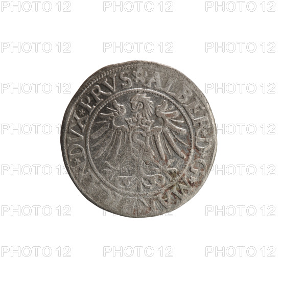 Decius, Jost Ludwik (fl. 1528–1535). Obverse: Prussian eagle, on its chest a crowned letter S; in the rim between the pearl borders an inscription beginning with a rosette ALBER*D*G*MA, RAN*DVX*PRVS. Reverse: male bust in armor in profile turned to the right, short hair, beard with sideburns; in the rim, between the pearl borders, an inscription beginning with the Hohenzollern coat of arms: *IVSTVS, X*FIDE*VIVI, I535*. 1535. Ducal Prussia (1525–1701), Königsberg. Coin; diameter 23.3 mm, weight 1.90 g, axis 45°. Iconography: Albrecht Hohenzollern (Prince of Prussia; 1490–1568) — Hohenzollern coat of arms, male busts in armor.