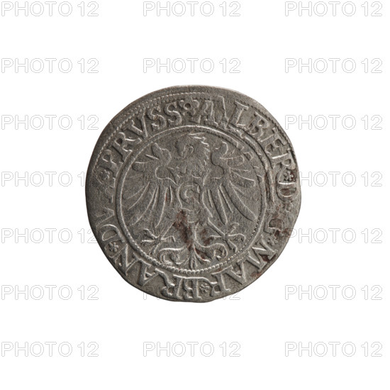 Decius Grosz (fl. 1528–1535). Silver coin (Ducal Prussia, Königsberg), 1535; diameter 23.4 mm, weight 1.85 g, axis 45°. Obverse: Prussian eagle; on its chest a crowned letter S; in the rim between pearl borders an inscription beginning with a rosette ALBER*, *MAR*BRAN*D, *PRVSS. Reverse: male bust in armor in profile facing right, short hair, beard with sideburns; in the rim between pearl borders an inscription beginning with the Hohenzollern coat of arms*, STVS*EX*FID, VIVIT*I535*. Iconography: eagles, Albert of Prussia (Prince of Prussia; 1490–1568), Hohenzollern coat of arms, male busts in armor.