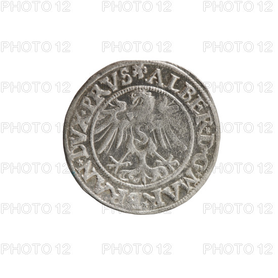 grosz, Decius, Jost Ludwik (fl. 1528–1535); Ducal Prussia (1525–1701), Königsberg; 1535. Coin (grosz). Obverse: Prussian eagle; on its chest a crowned letter S; on rim between pearl borders an inscription beginning with a rosette ALBER*D*G*MAR*BRAN*DVX*PRVS. Reverse: male bust in armor in profile turned right, short hair, beard with sideburns; on rim between pearl borders an inscription beginning with the Hohenzollern coat of arms *IVSTVS*, *FIDE*VIVIT*I535*. Diameter 23.6 mm; weight 1.90 g; axis 315°. Iconography: eagles; Albert of Prussia (Prince of Prussia; 1490–1568); Hohenzollern coat of arms; male busts in armor.