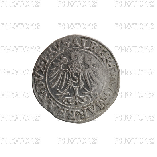 grosz, Decius, Jost Ludwik (fl. 1528–1535); 1535. Ducal Prussia (1525–1701), Königsberg. Coin (grosz): diameter 23.4 mm, weight 1.92 g, axis 200°. Obverse: Prussian eagle; on its chest a crowned letter S. In the rim between the pearl borders an inscription beginning with a rosette, ALBER*DD*G*MAR*BRAN*DVX*PRVS. Reverse: male bust in armor in profile turned to the right, short hair, beard with sideburns. In the rim between the pearl borders an inscription starting with the Hohenzollern coat of arms *IV, VS*EX*FIDE*VIVIT*I535*. Iconography: Albrecht Hohenzollern (Prince of Prussia; 1490–1568) — Hohenzollern coat of arms, eagles, male busts in armor.