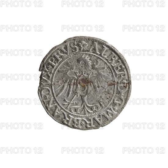 Artist: Decius Grosz; engraver: Jost Ludwik (fl. 1528–1535). Type: coin, Ducal Prussia (1525–1701), Königsberg, 1535. Obverse: Prussian eagle; on its chest a crowned letter S; in the rim between pearl borders an inscription beginning with a rosette 'ALBER, D*G*, AR*BRAN*DVX*PRVS'. Reverse: male bust in armor in profile turned right, short hair, beard with sideburns; on the rim between the pearl borders an inscription beginning with the Hohenzollern coat of arms: '*IVSTVS *EX *FIDE *VIVIT *I535 *'. Iconography: Albrecht Hohenzollern (Prince of Prussia; 1490–1568). Diameter 23.1 mm, weight 1.64 g, axis 45°.
