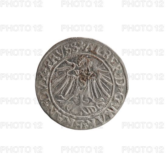 grosz; Vogelwaider (Vogelwaid), Eustachius, publisher; Decius, Jost Ludwik (fl. 1528-1535); R (rarity); Albrecht Hohenzollern (Prince of Prussia; 1490-1568) — iconography: eagles, Hohenzollern (coat of arms), male busts in armor. Obv.: Prussian eagle, on its chest a crowned letter S; on the rim between the pearl borders an inscription beginning with a rosette ALBER*D*G*MAR*BRAN*DVX*PRVSS. Rev.: male bust in armor, profile turned to the right, short hair, beard with sideburns; on the rim, between the pearl borders, an inscription beginning with the Hohenzollern coat of arms: *IVSTVS*EX*FIDE*VIVIT*I537*. Date: 1537, Königsberg, Ducal Prussia (1525–1701). Object: coin (grosz), diameter 23.0 mm, weight 1.90 g, axis 340°.